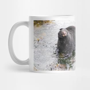 Wet Black Bear Shaking off water Mug